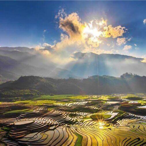 Photo of Others in Pu Long Nature Reserve