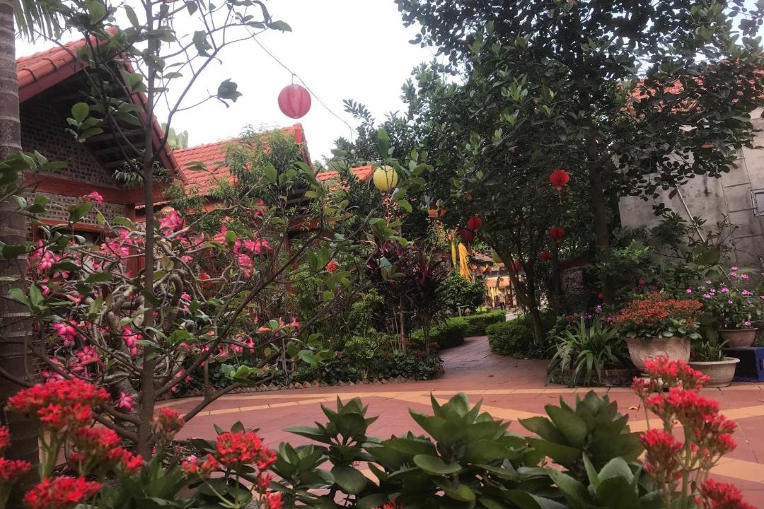 Photo of Others in Hoa Lu