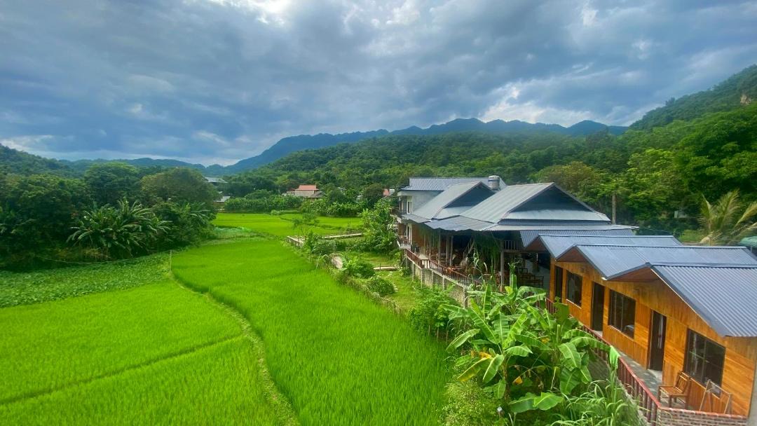 Photo of Others in Mai Chau