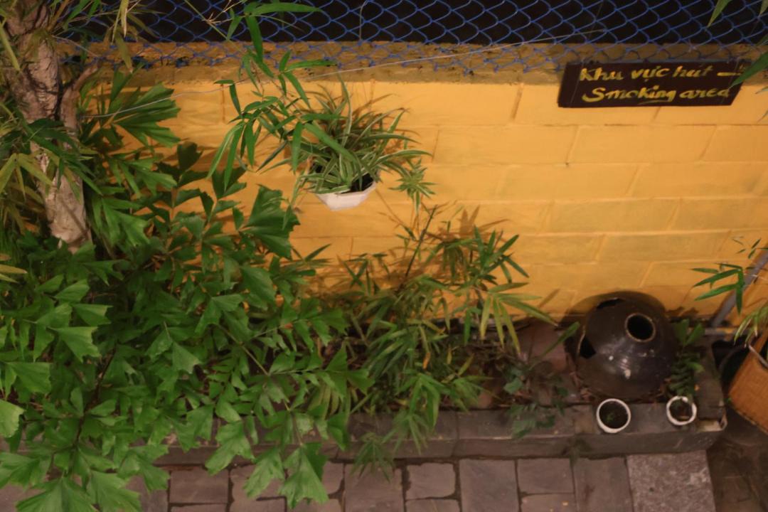 Photo of Others in Cam Chau