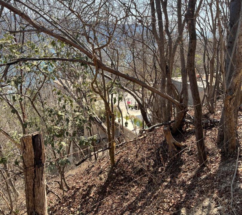Photo of Others in Arroyo Cruz