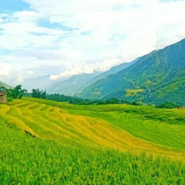Photo of Others in Hau Thao