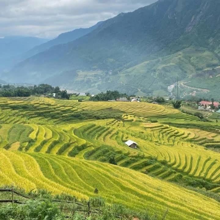 Photo of Others in Hau Thao