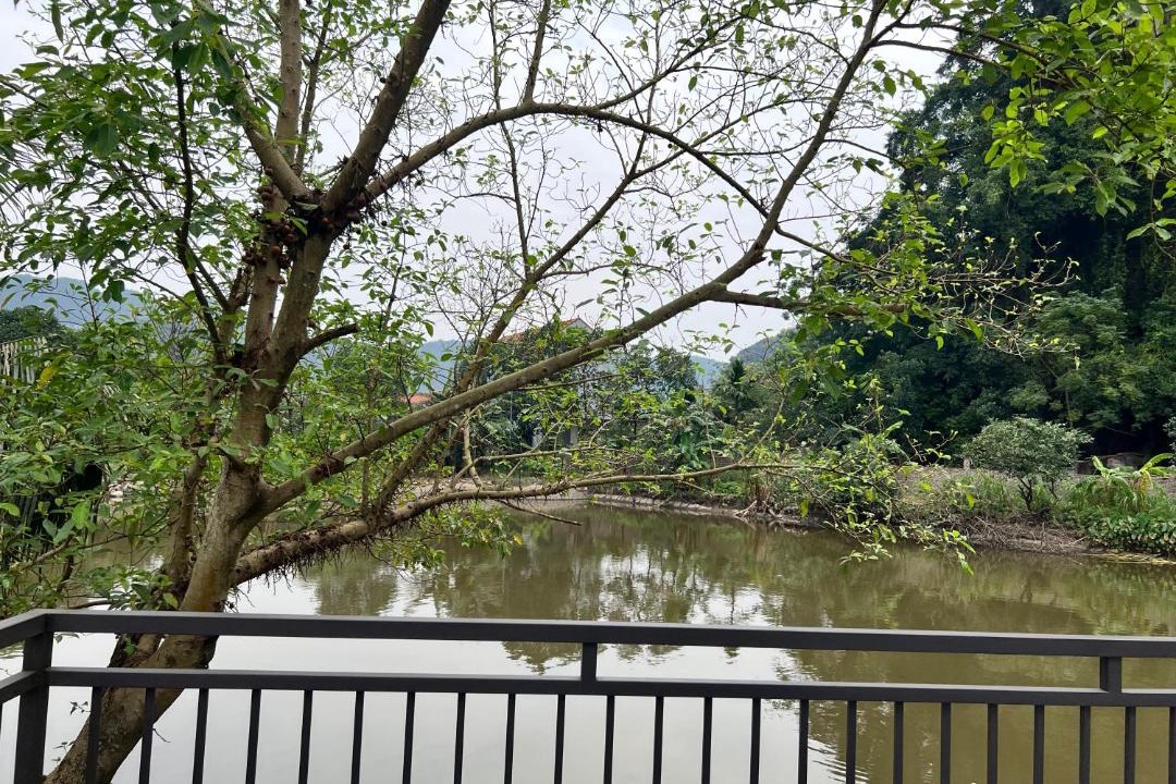 Photo of Others in Hoa Lu