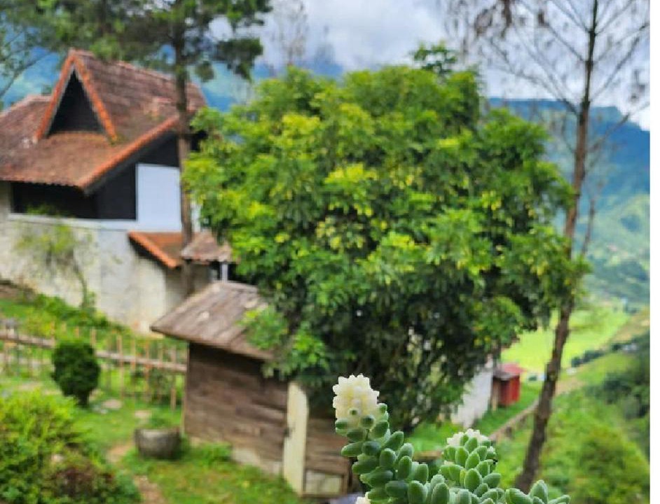 Photo of Others in Sa Pa
