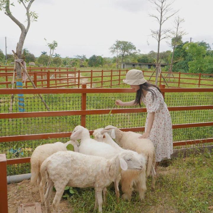 Photo of Others in Huong Thuy