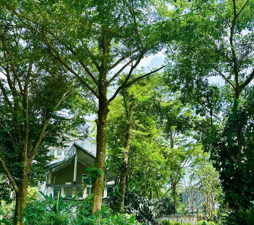 Photo of Outdoor in Dashu District