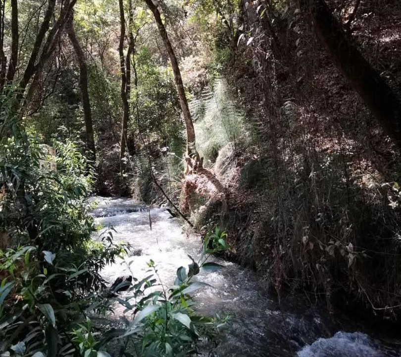 Photo of Others in Valle de Bravo