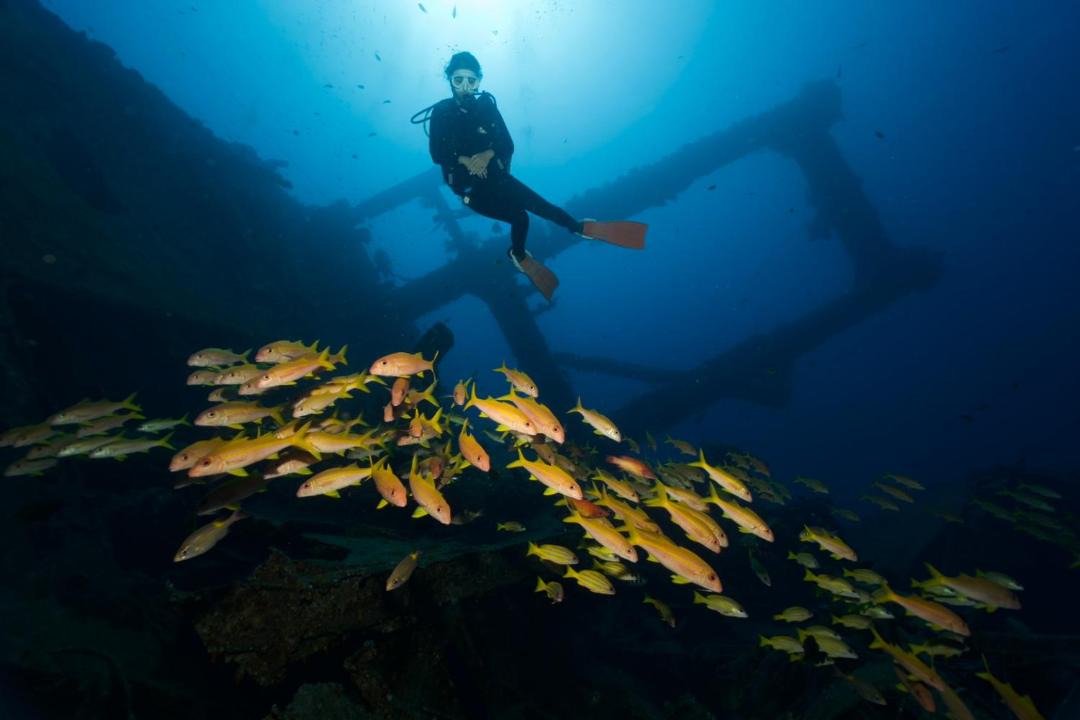 Photo of Human In Picture in Lanyu