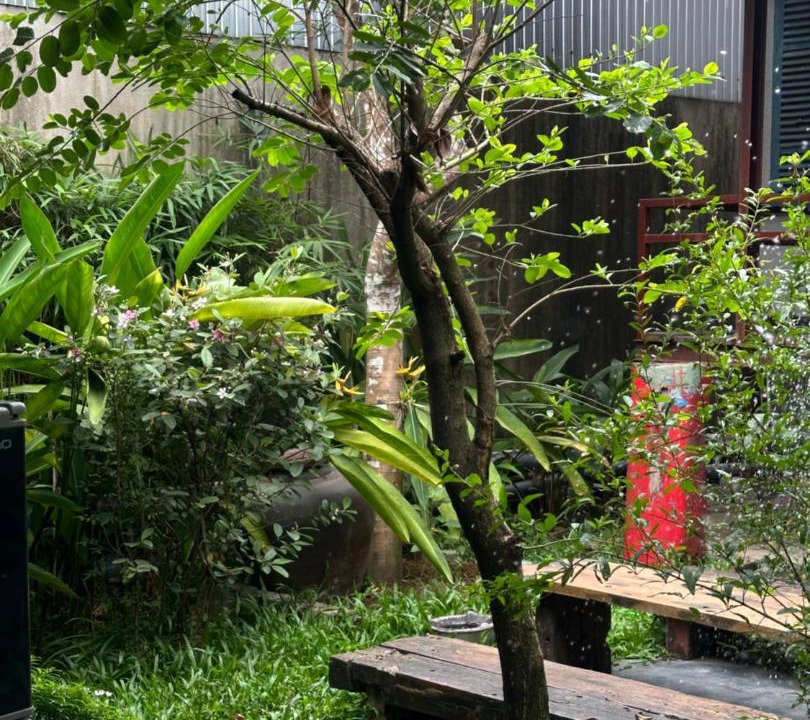 Photo of Others in Thuy Xuan