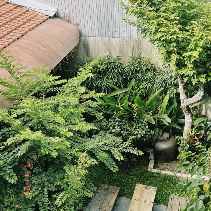 Photo of Others in Thuy Xuan