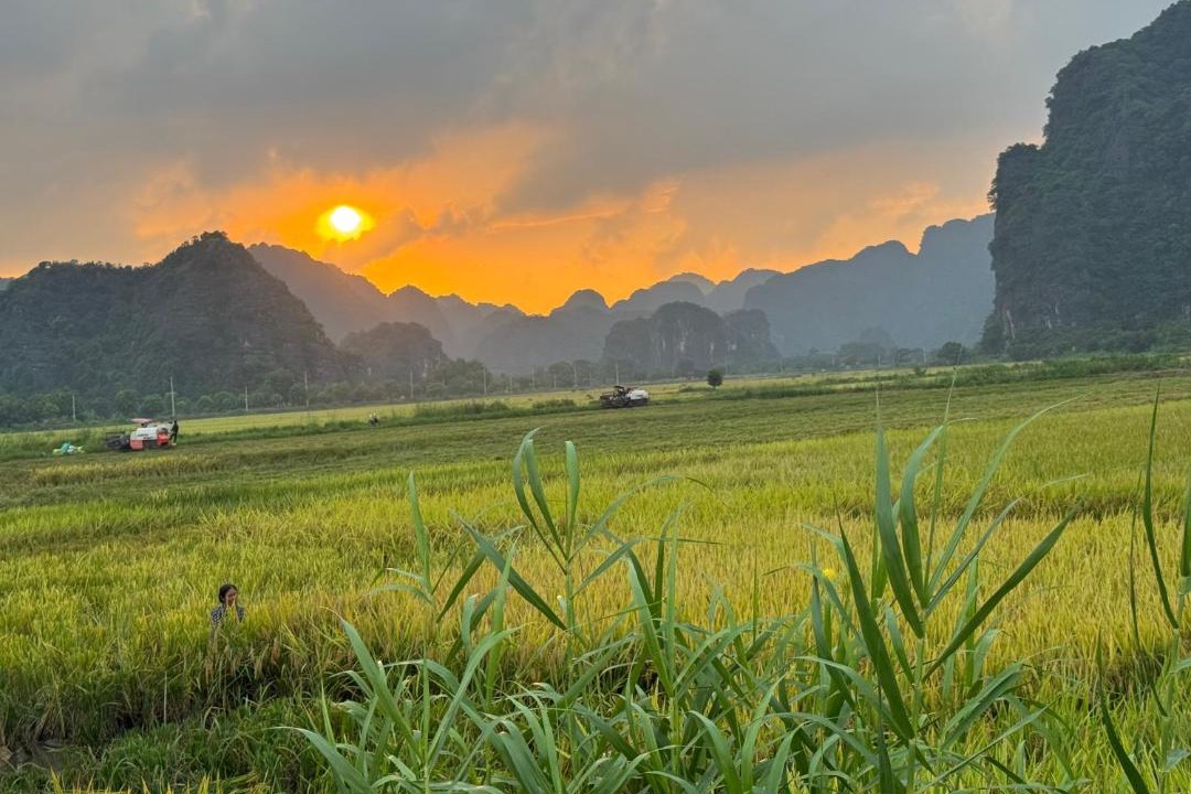 Photo of Others in Hoa Lu