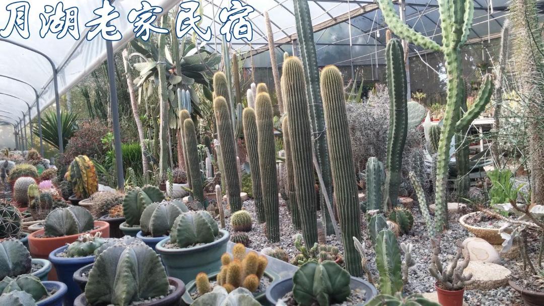 Photo of Others in Xinshe