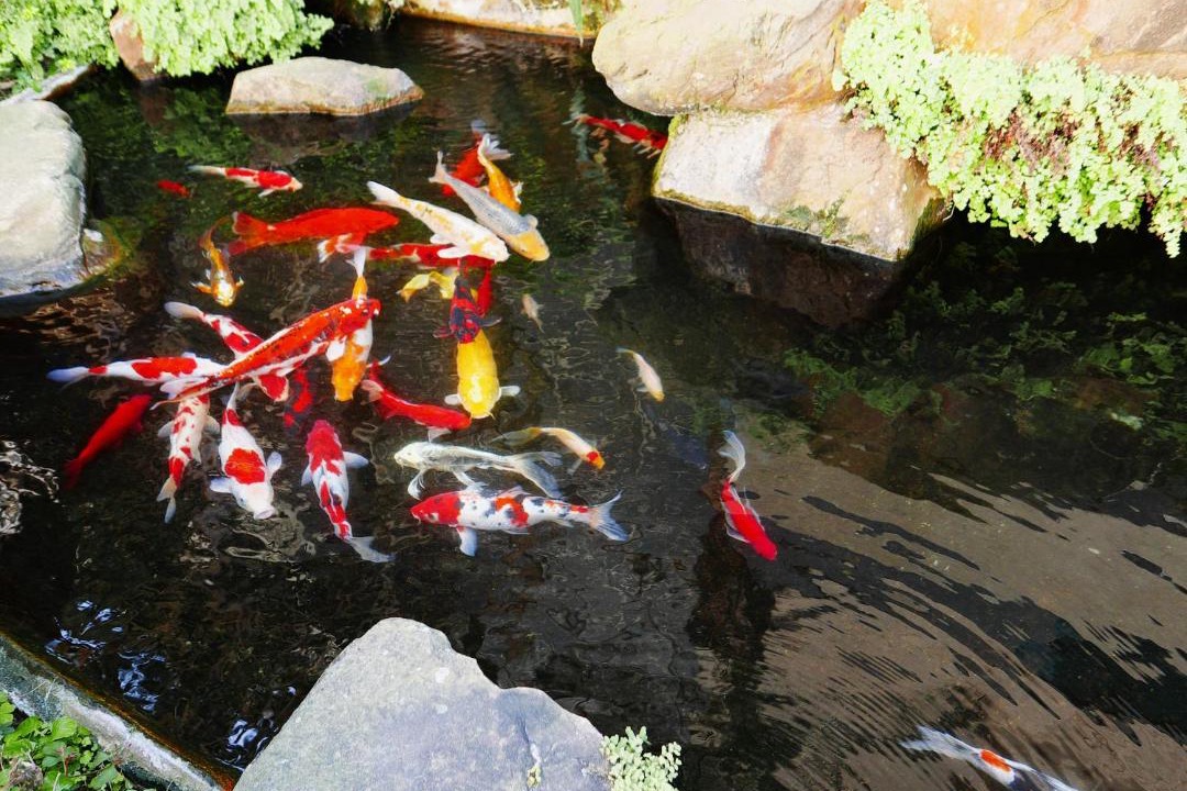 Photo of Others in Fengyuan District