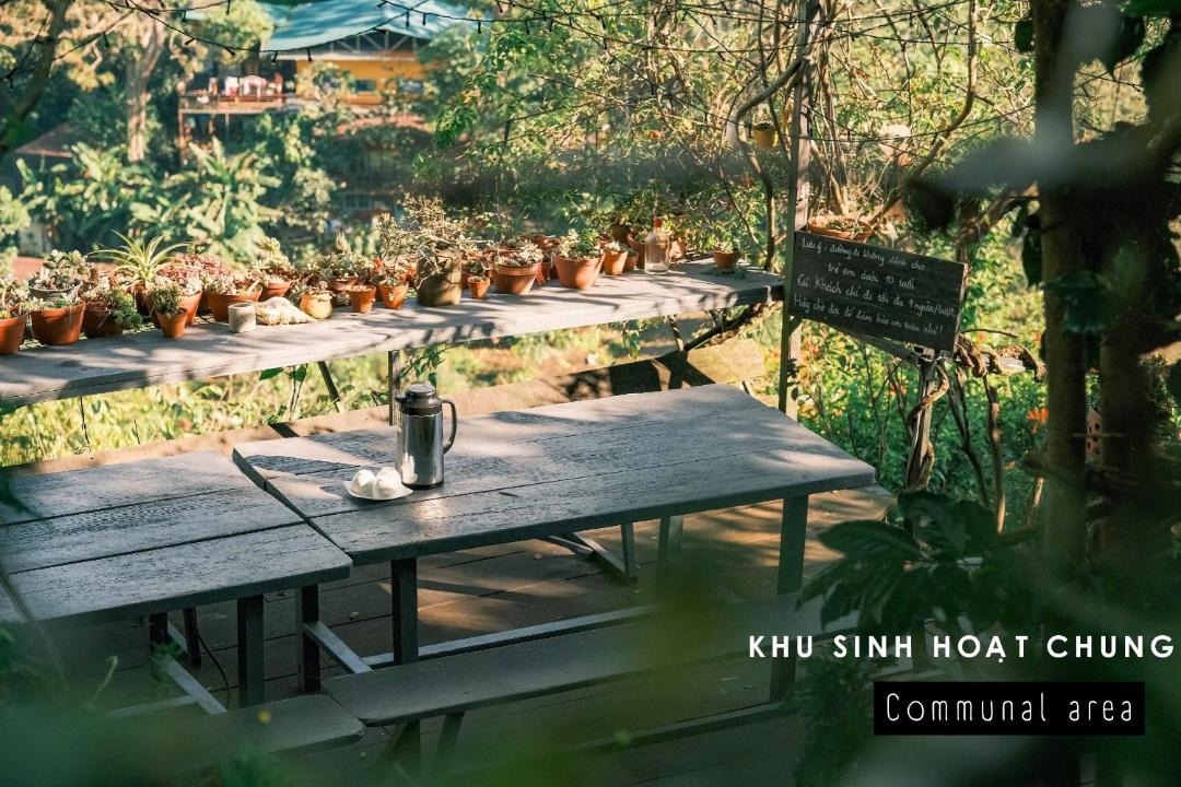 Photo of Others in Da Lat