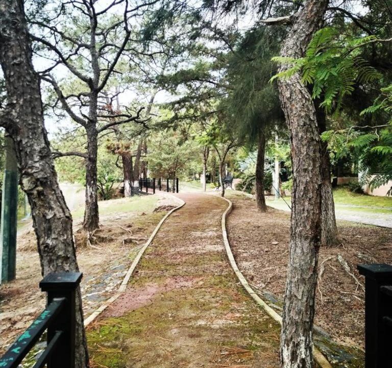 Photo of Others in Zapopan