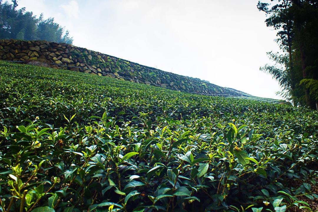 Photo of Outdoor in Zhuqi