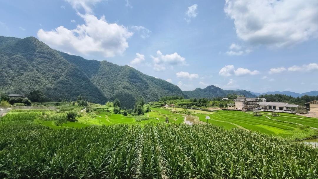 Photo of Others in Wulingyuan