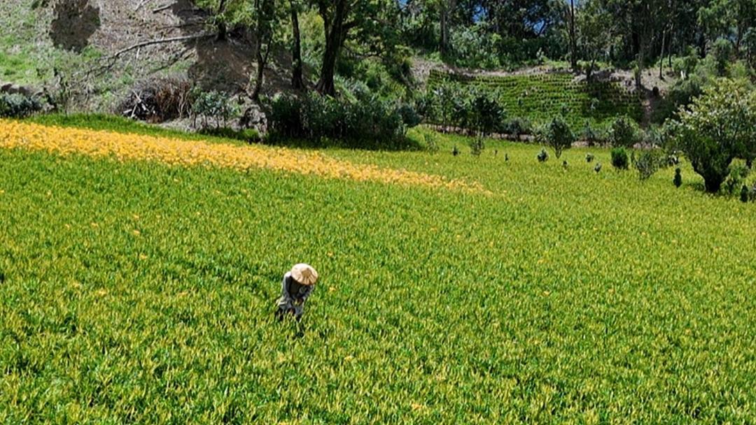 Photo of Others in Chenggong