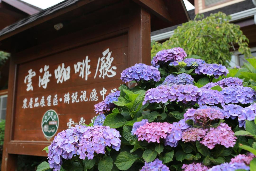 Photo of Others in Wufeng