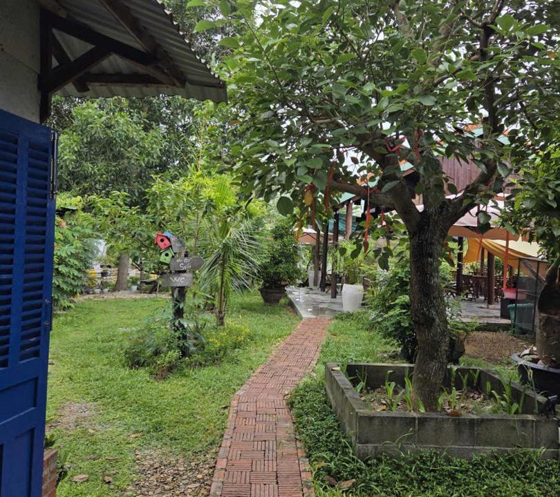 Photo of Others in Thanh Ha
