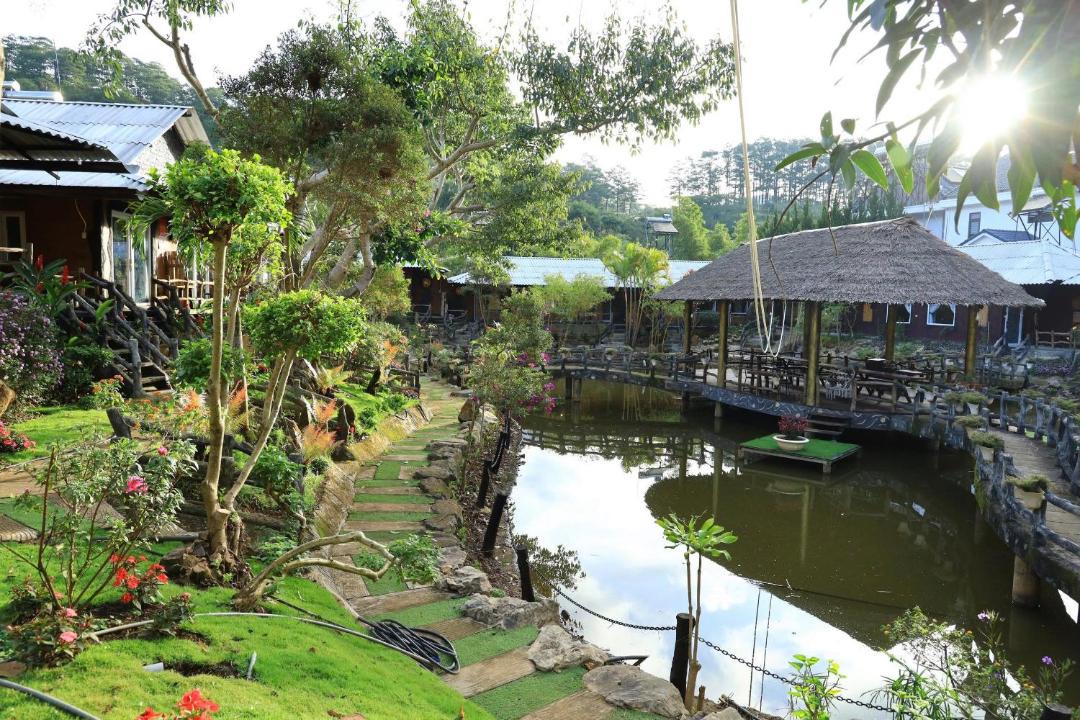 Photo of Others in Duc Trong