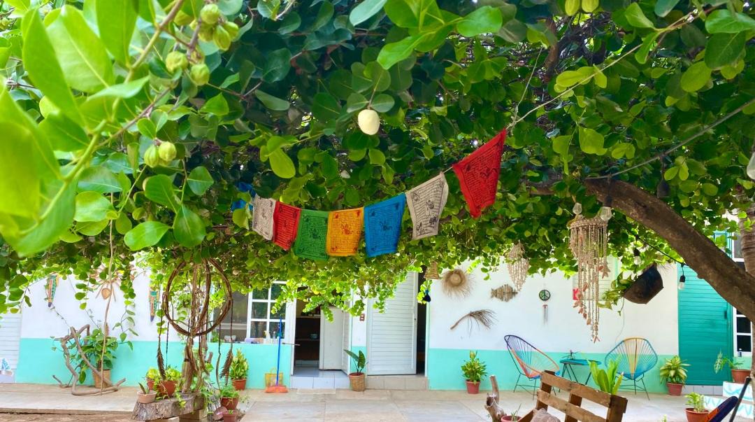 Photo of Others in Los Tamarindos