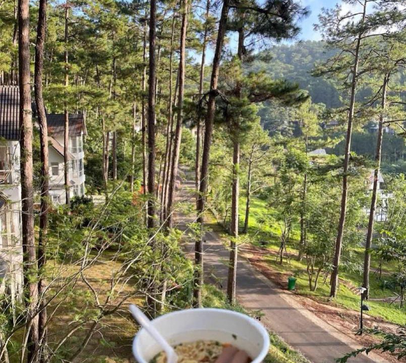 Photo of Others in Da Lat