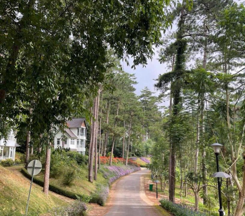 Photo of Others in Da Lat
