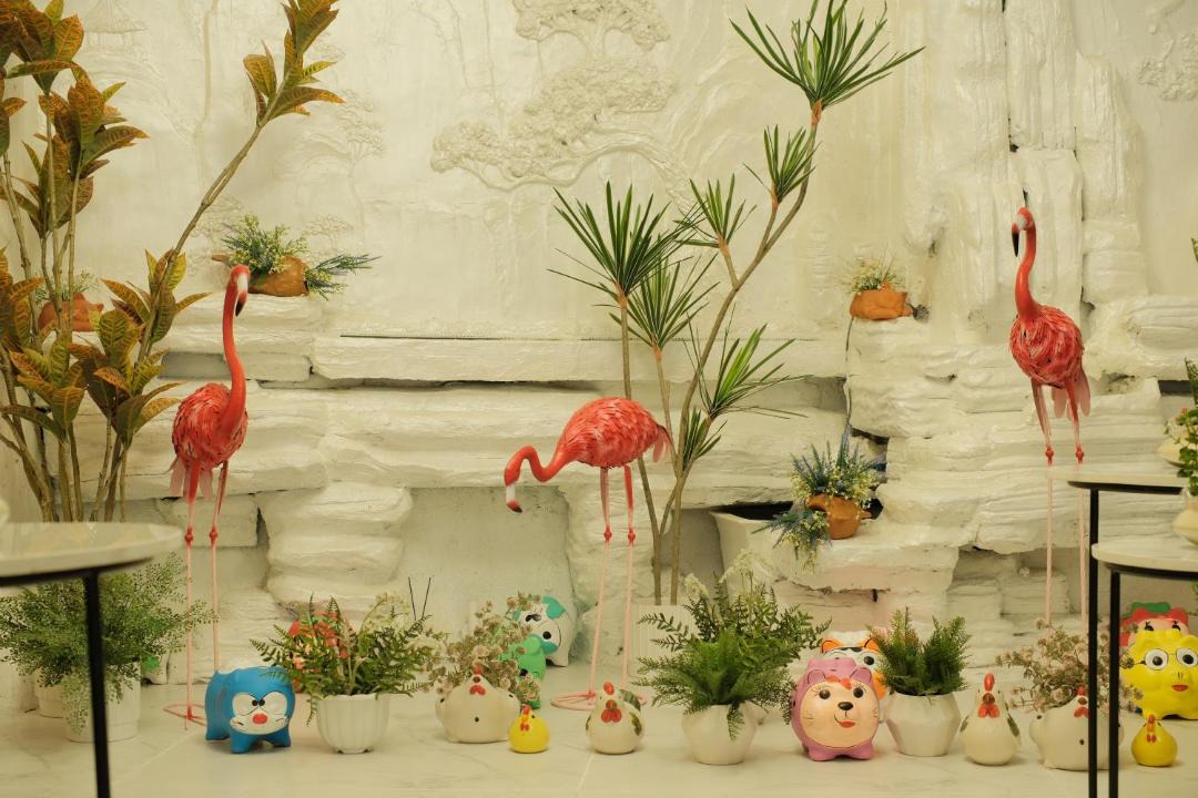 Photo of Others in Van Ninh