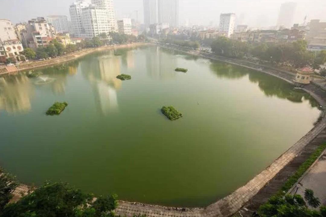 Photo of Others in Ngoc Khanh
