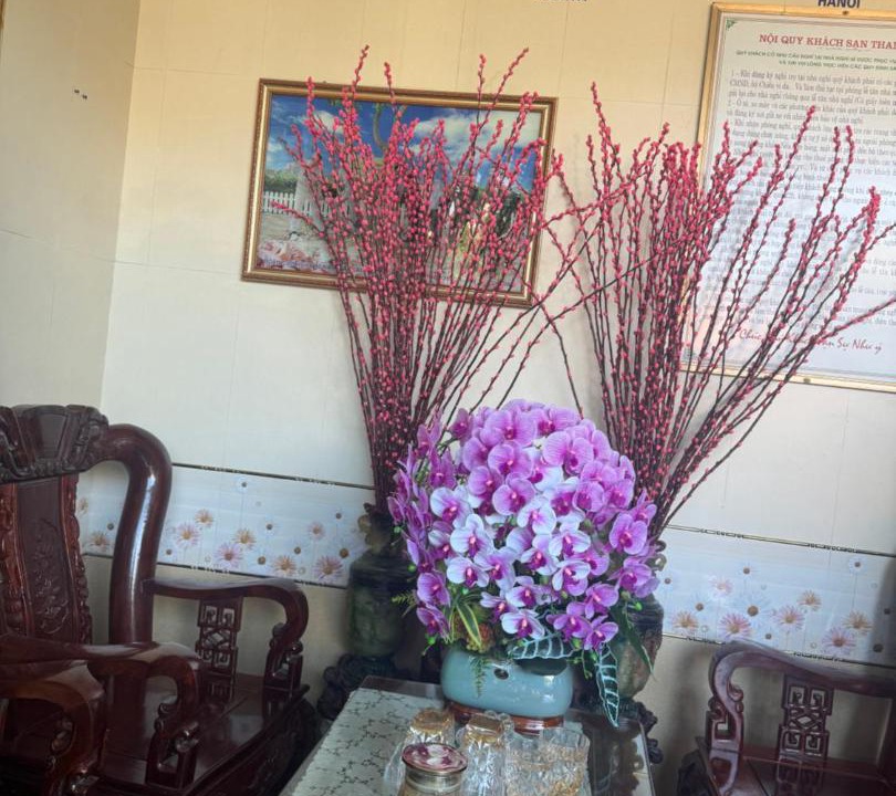 Photo of Others in Ha Tinh