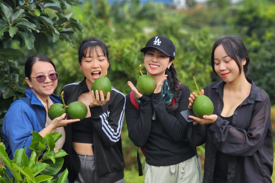 Photo of Others in Don Duong