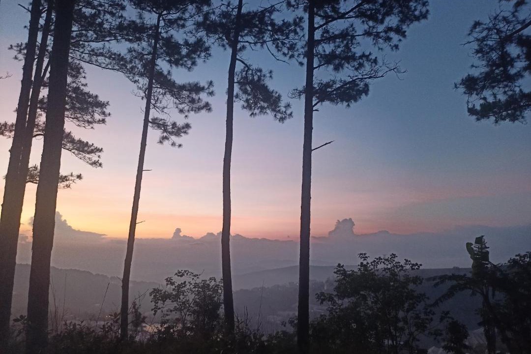 Photo of Others in Da Lat