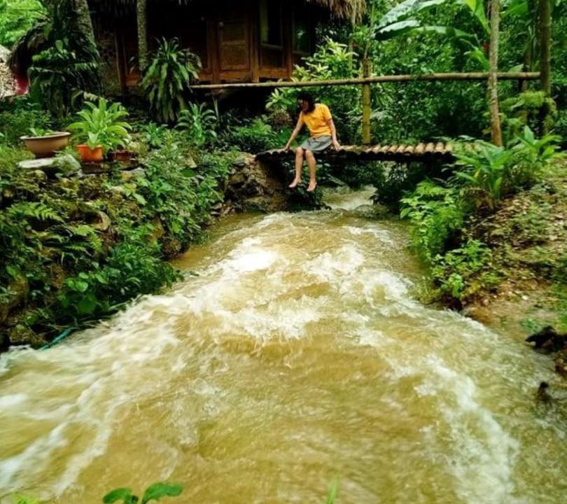Photo of Others in Pu Long Nature Reserve