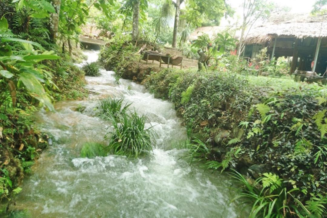 Photo of Others in Pu Long Nature Reserve