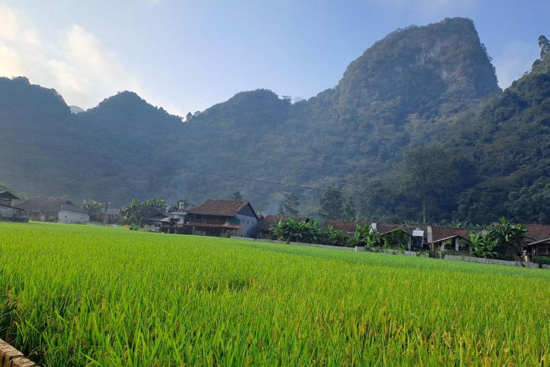 Photo of Others in Quang Uyen