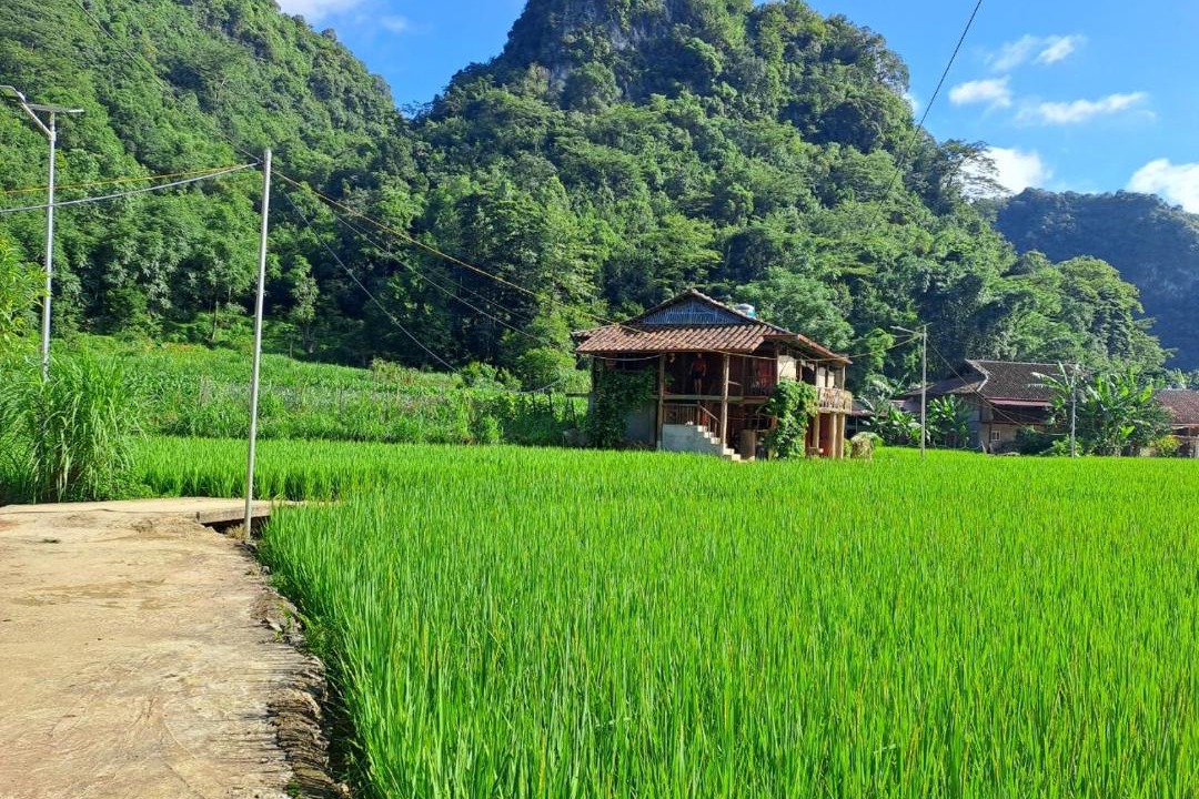 Photo of Others in Quang Uyen