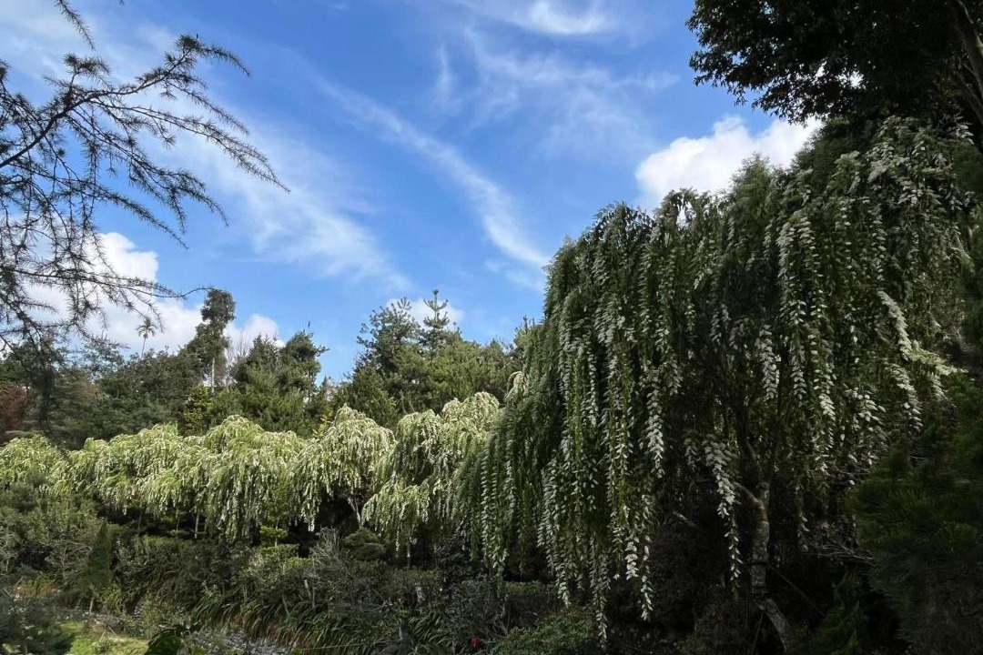 Photo of Outdoor in Gukeng