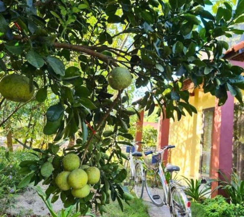 Photo of Others in Hoa Lu