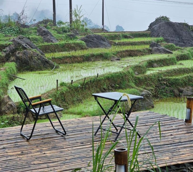 Photo of Others in Pu Long Nature Reserve