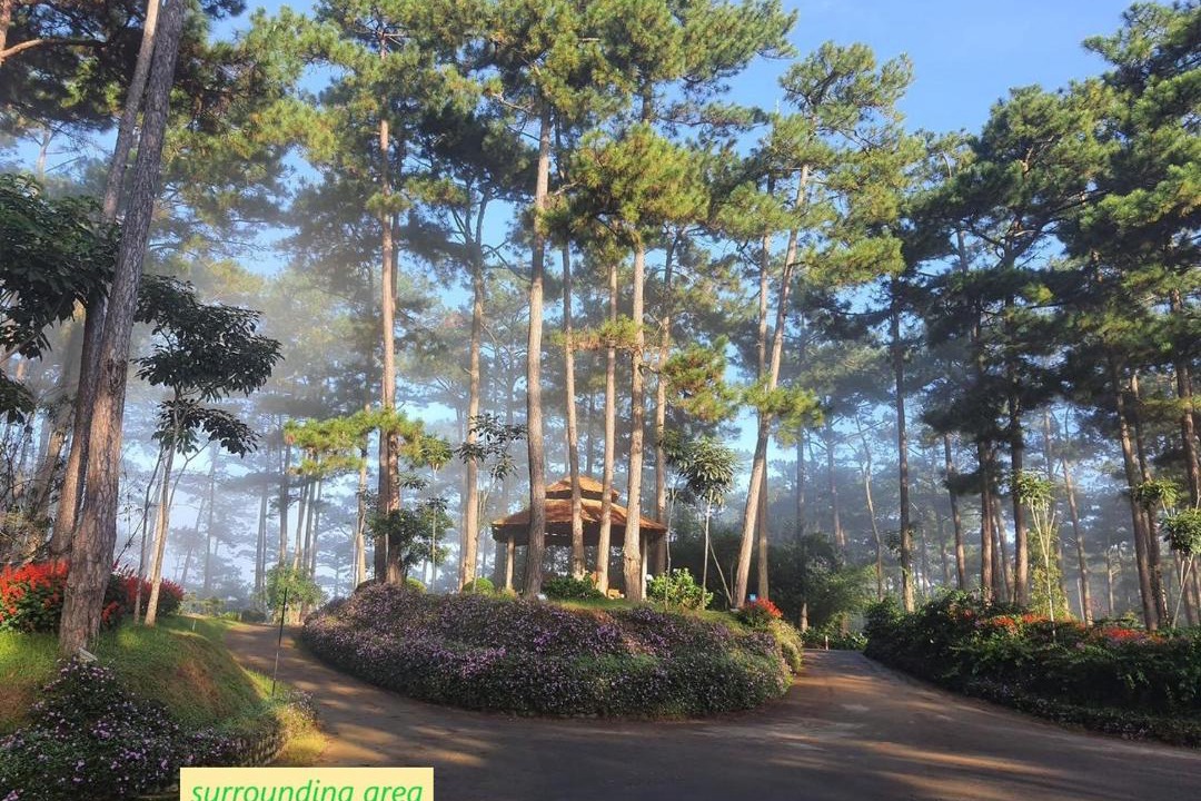 Photo of Others in Da Lat