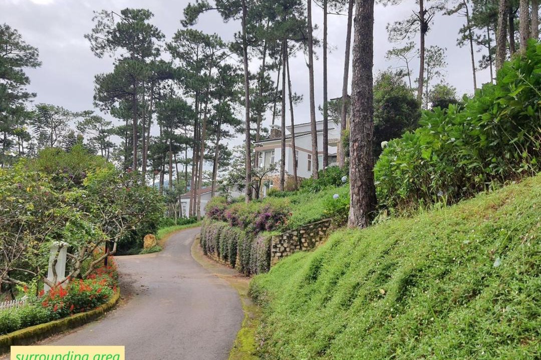Photo of Others in Da Lat