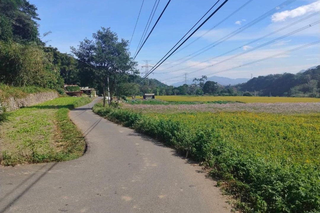 Photo of Outdoor in Longtan District