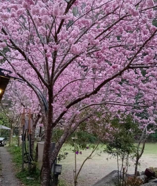 Photo of Others in Fuxing District