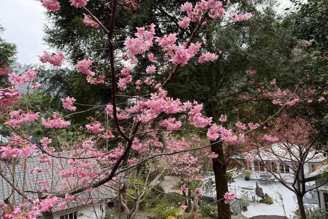Photo of Outdoor in Fuxing District