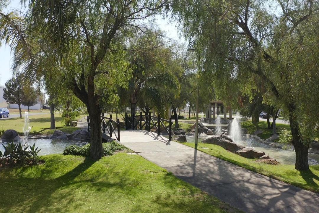 Photo of Others in Zapopan