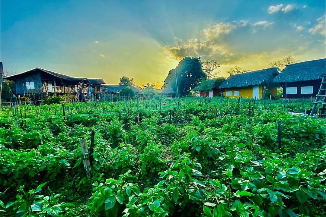 Photo of Others in Cao Bang