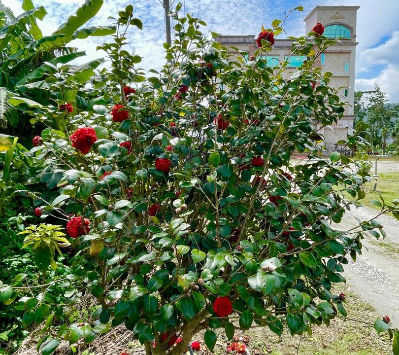 Photo of Outdoor in Shoufeng