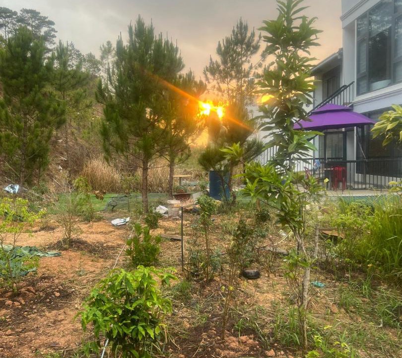 Photo of Outdoor in Lac Duong